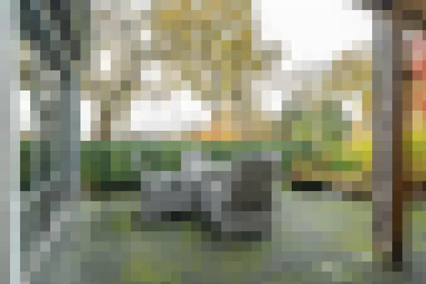 Oranjekanaal N.Z. 37 Zuidveld thumbnail 56