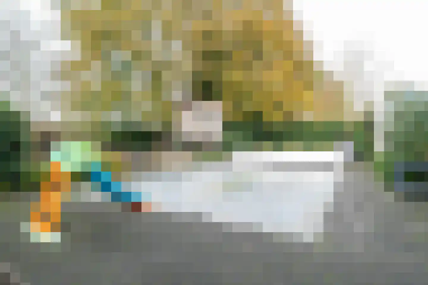 Oranjekanaal N.Z. 37 Zuidveld thumbnail 57