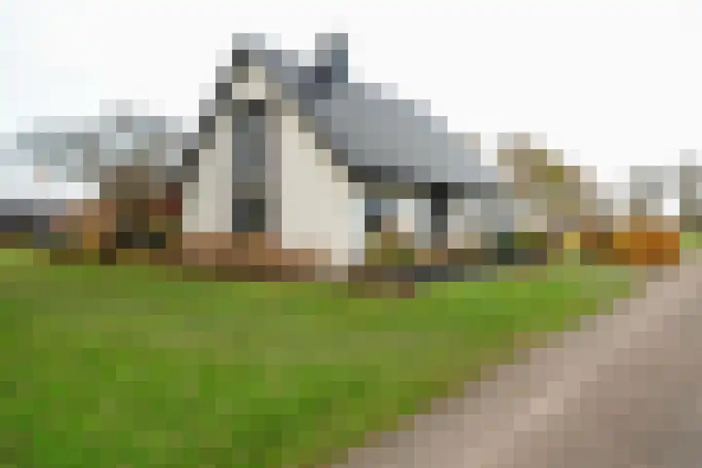 Oranjekanaal N.Z. 37 Zuidveld thumbnail 59