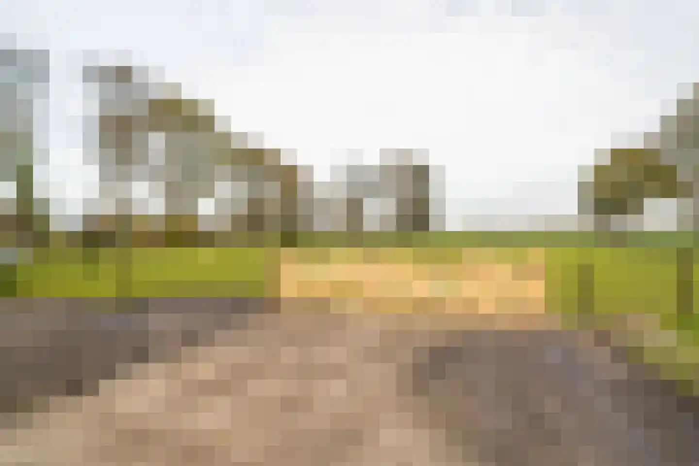 Oranjekanaal N.Z. 37 Zuidveld thumbnail 68