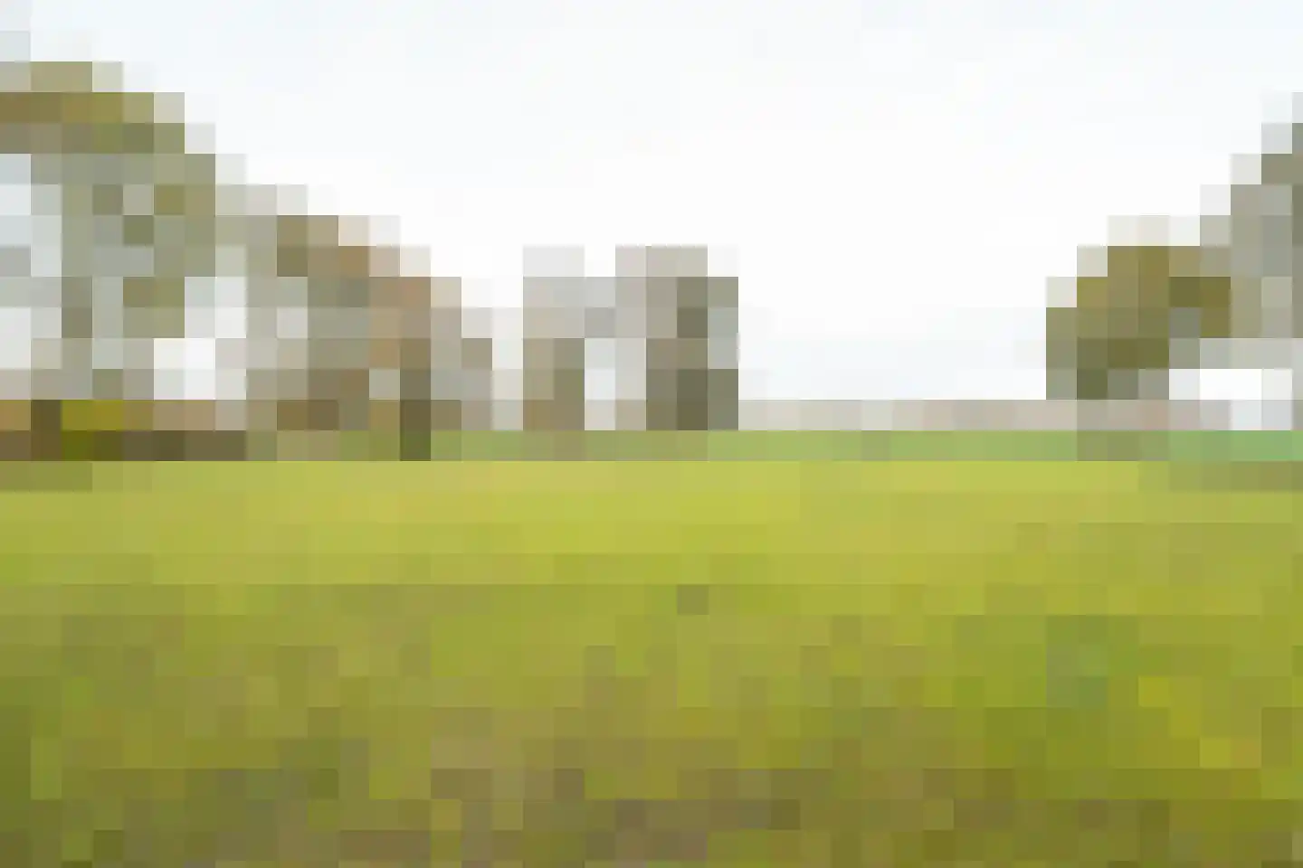 Oranjekanaal N.Z. 37 Zuidveld thumbnail 70