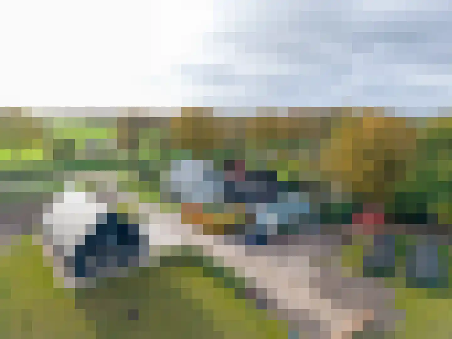 Oranjekanaal N.Z. 37 Zuidveld thumbnail 71