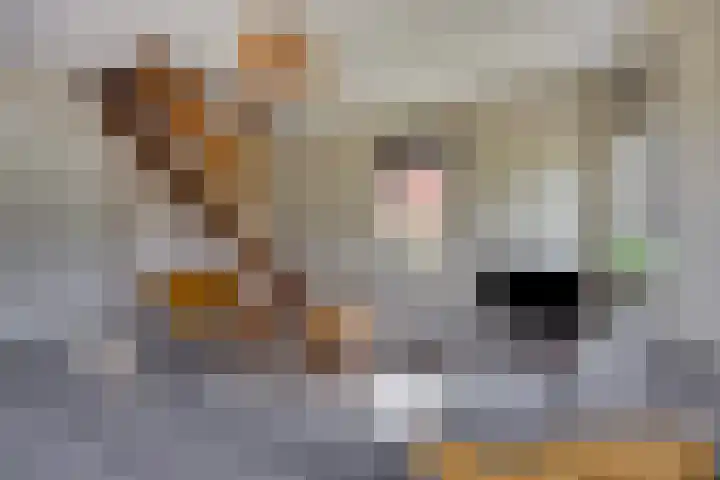 Oranjekanaal NZ 10 0001 Wezuperbrug thumbnail 10