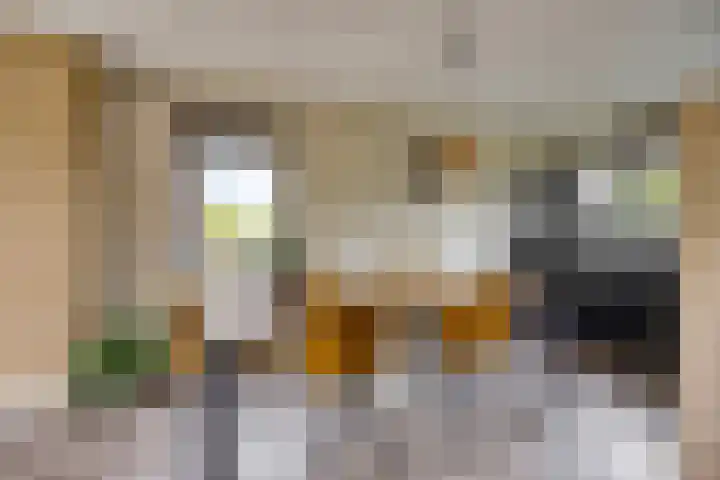 Oranjekanaal NZ 10 0001 Wezuperbrug thumbnail 16