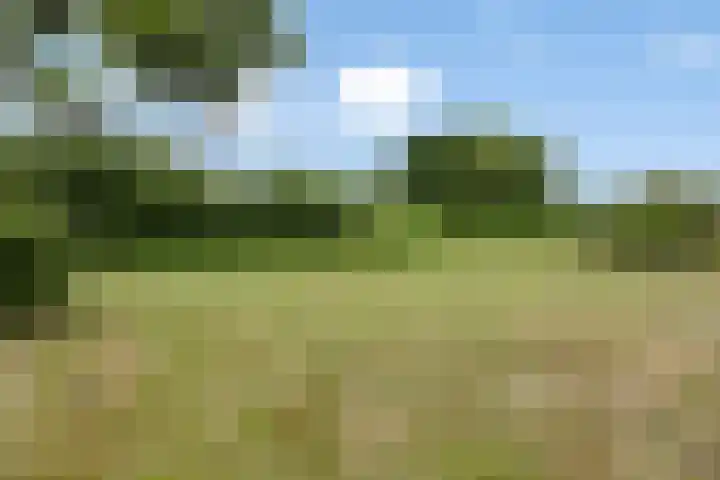 Oranjekanaal NZ 10 0001 Wezuperbrug thumbnail 32