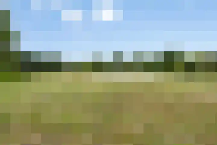 Oranjekanaal NZ 10 0001 Wezuperbrug thumbnail 34