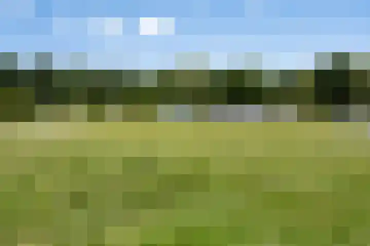 Oranjekanaal NZ 10 0001 Wezuperbrug thumbnail 37