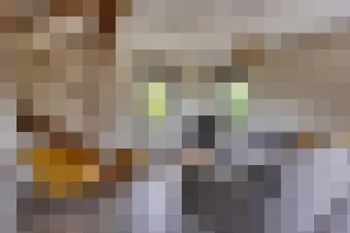 Oranjekanaal NZ 10 0001 Wezuperbrug thumbnail 8