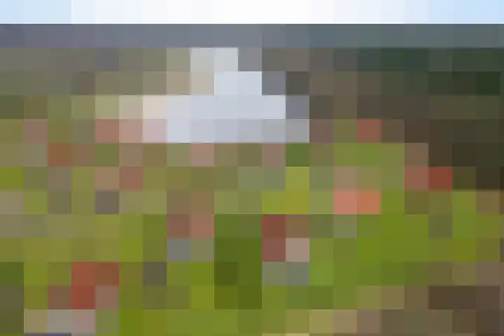 Oranjekanaal NZ 10 0011 in Wezuperbrug