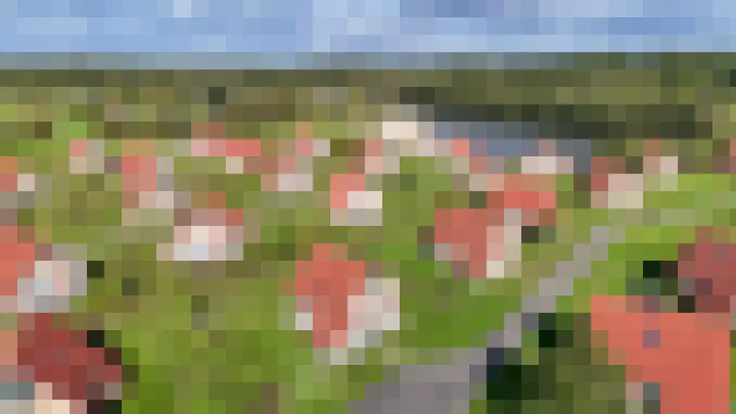Oranjekanaal NZ 10 0021 Wezuperbrug thumbnail 4