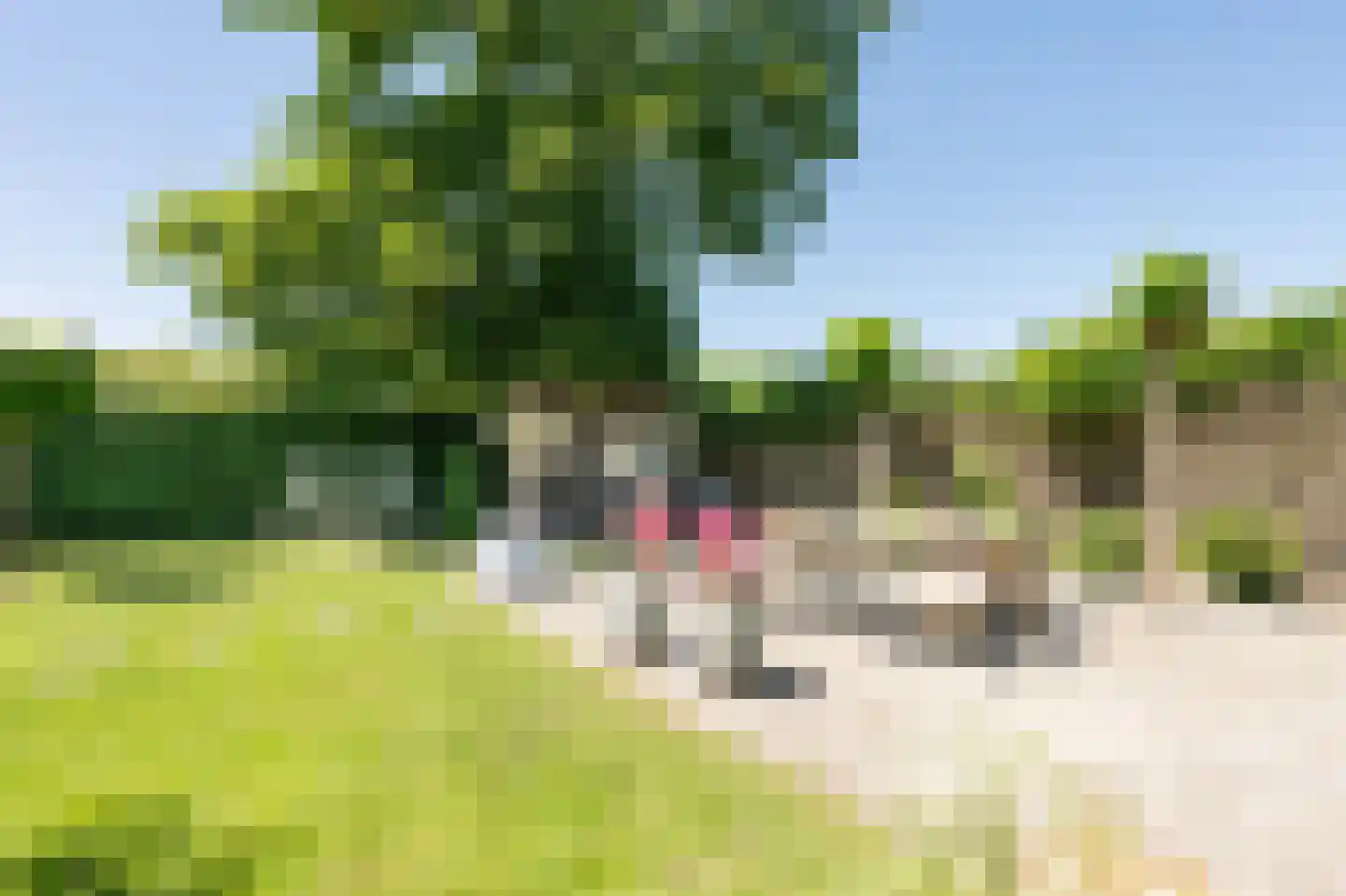Oranjekanaal NZ 2 Emmen thumbnail 41
