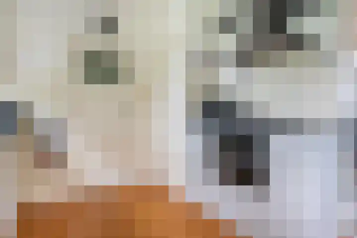 Oranjekanaal Z.Z. 13 B Hijken thumbnail 12