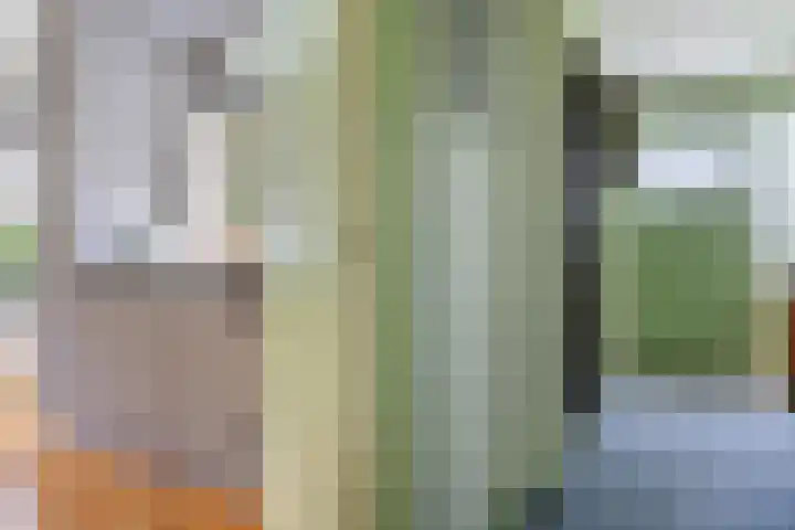 Oranjekanaal Z.Z. 13 B Hijken thumbnail 14