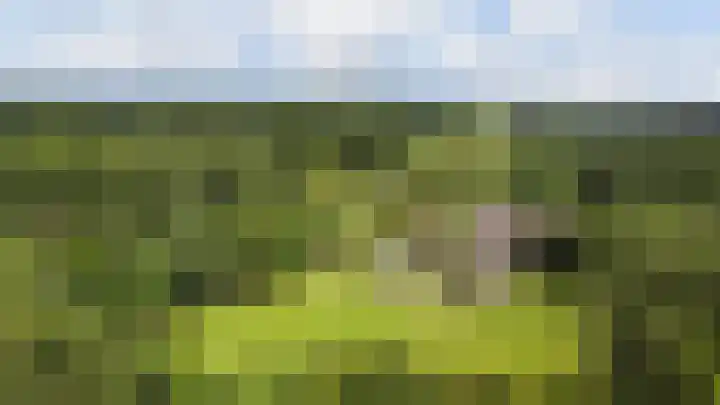 Oranjekanaal Z.Z. 13 B Hijken thumbnail 26