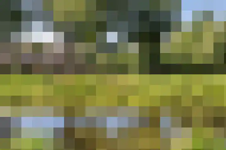 Oranjekanaal Z.Z. 13 B Hijken thumbnail 30