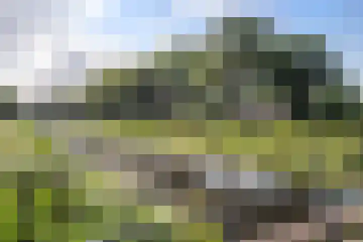 Oranjekanaal Z.Z. 13 B Hijken thumbnail 31