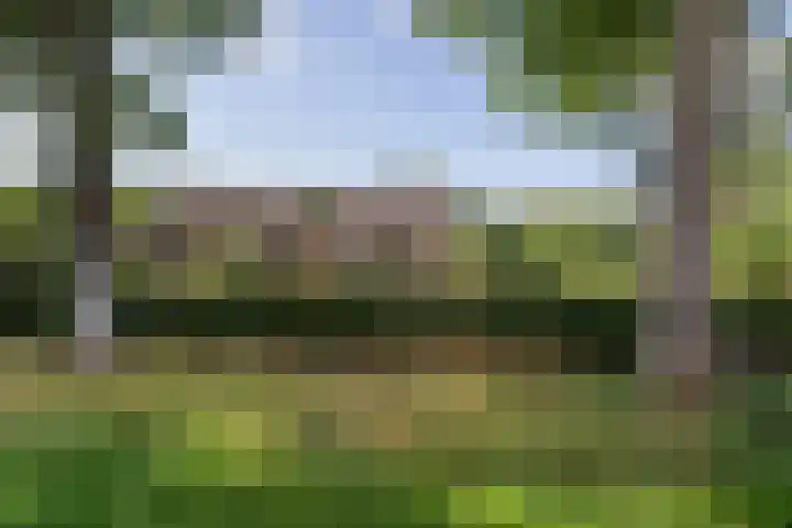 Oranjekanaal Z.Z. 13 B Hijken thumbnail 32