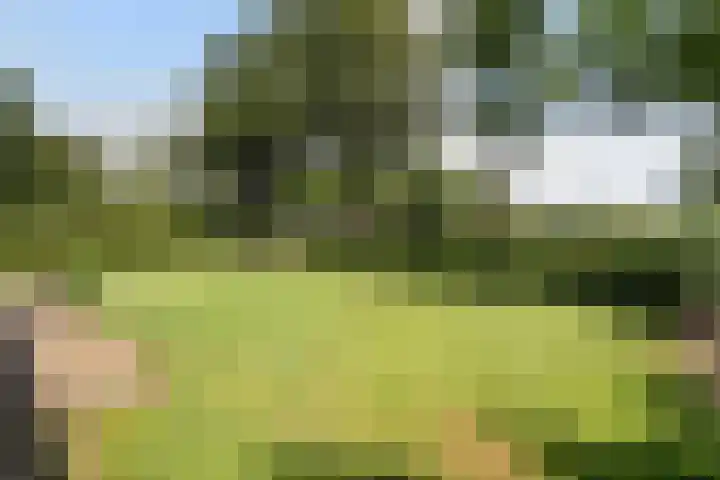 Oranjekanaal Z.Z. 13 B Hijken thumbnail 34