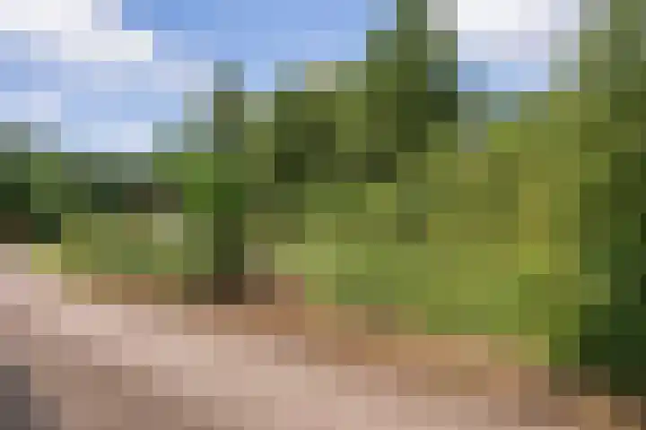 Oranjekanaal Z.Z. 13 B Hijken thumbnail 37