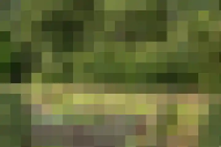 Oranjekanaal Z.Z. 13 B Hijken thumbnail 38