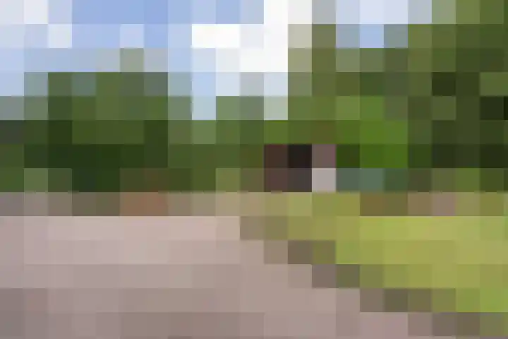 Oranjekanaal Z.Z. 13 B Hijken thumbnail 39