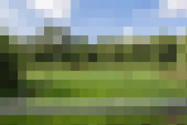 Oranjekanaal Z.Z. 13 B Hijken thumbnail 41