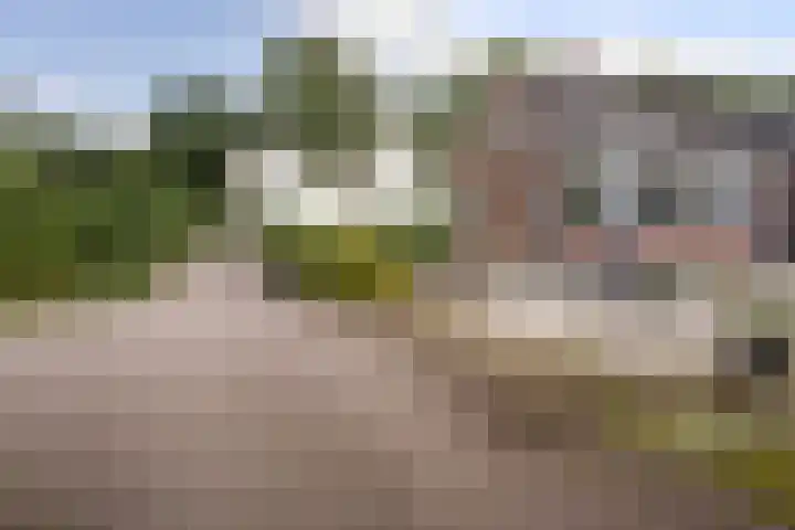 Oranjekanaal Z.Z. 13 B Hijken thumbnail 42
