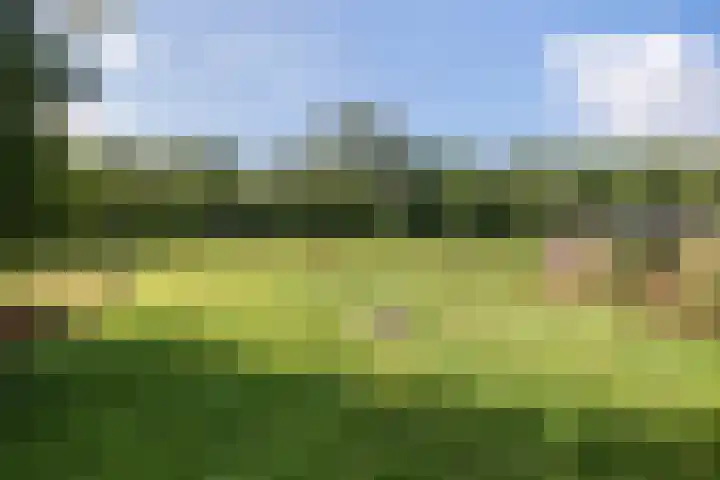 Oranjekanaal Z.Z. 13 B Hijken thumbnail 44
