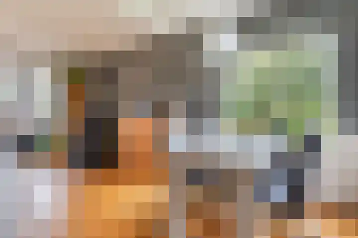 Oranjekanaal Z.Z. 13 B Hijken thumbnail 7