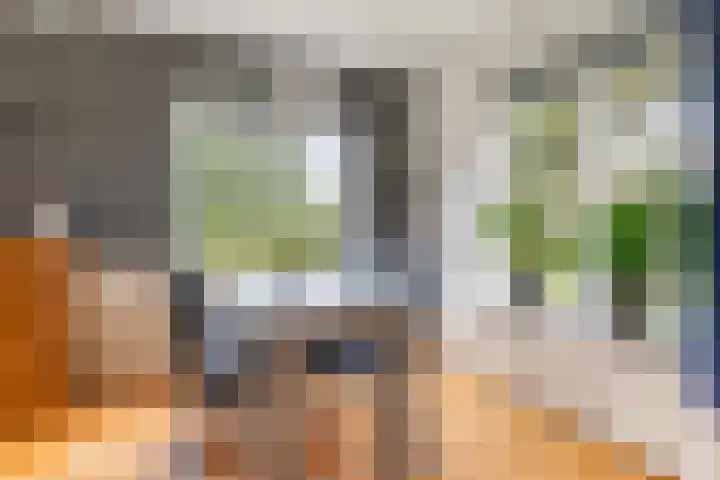 Oranjekanaal Z.Z. 13 B Hijken thumbnail 8