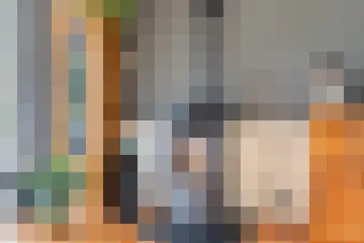 Oranjekanaal Z.Z. 13 B Hijken thumbnail 9