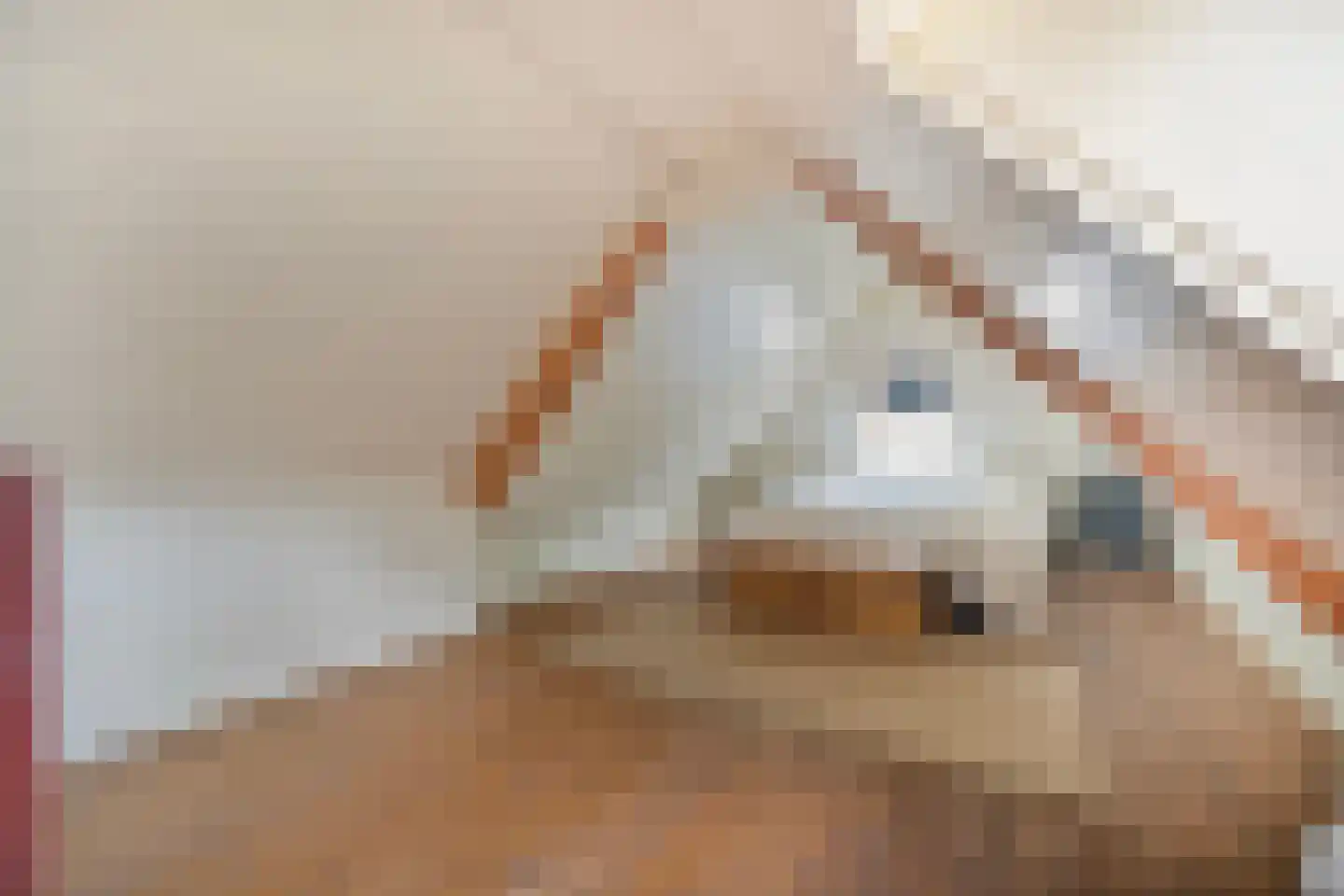 Oranjekanaal Z.Z. 63 Hijken thumbnail 23