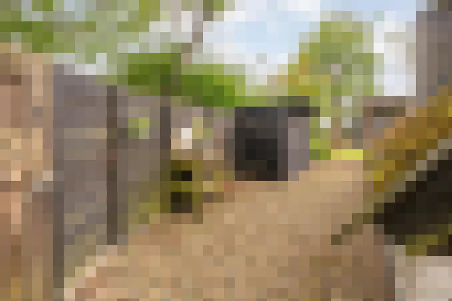 Oranjekanaal Z.Z. 63 Hijken thumbnail 37
