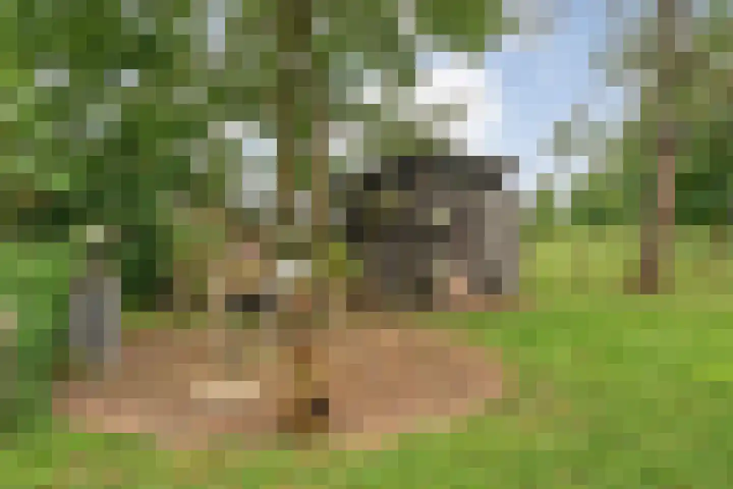 Oranjekanaal Z.Z. 63 Hijken thumbnail 39