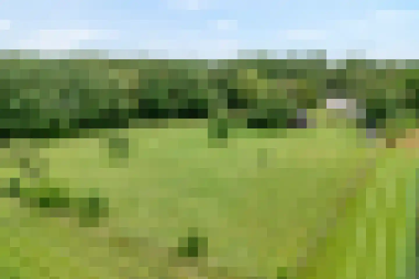 Oranjekanaal Z.Z. 63 Hijken thumbnail 4