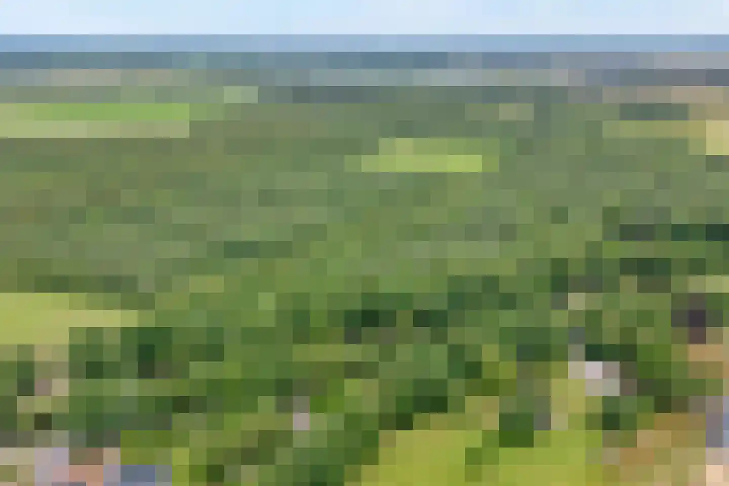 Oranjekanaal Z.Z. 63 Hijken thumbnail 57