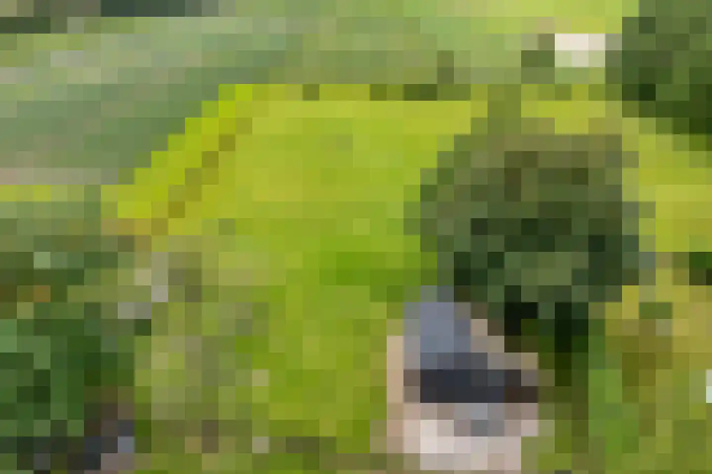 Oranjekanaal Z.Z. 63 Hijken thumbnail 58