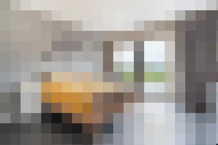 Oranjekanaal Z.Z. 7 A Zwiggelte thumbnail 17
