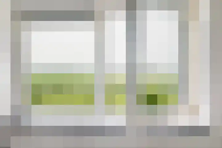 Oranjekanaal Z.Z. 7 A Zwiggelte thumbnail 29