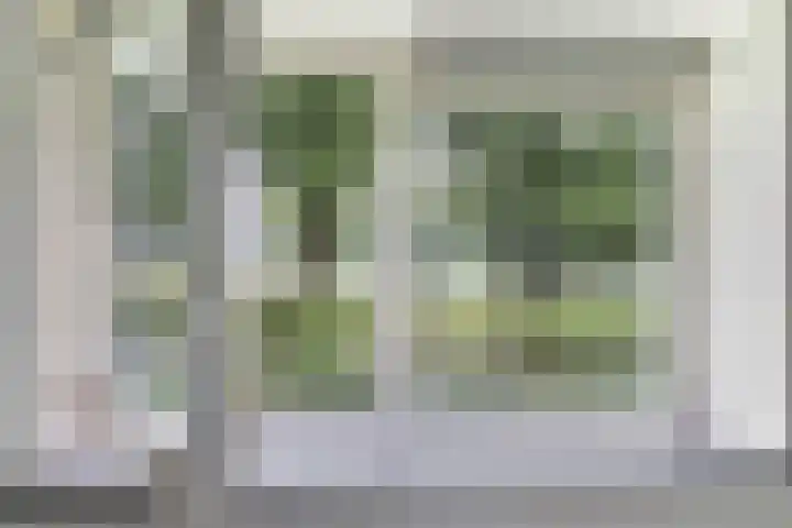 Oranjekanaal Z.Z. 7 A Zwiggelte thumbnail 37