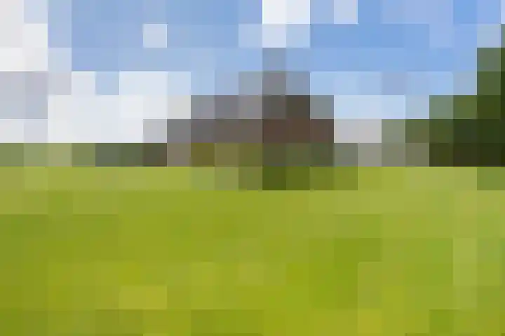 Oranjekanaal Z.Z. 7 A Zwiggelte thumbnail 39