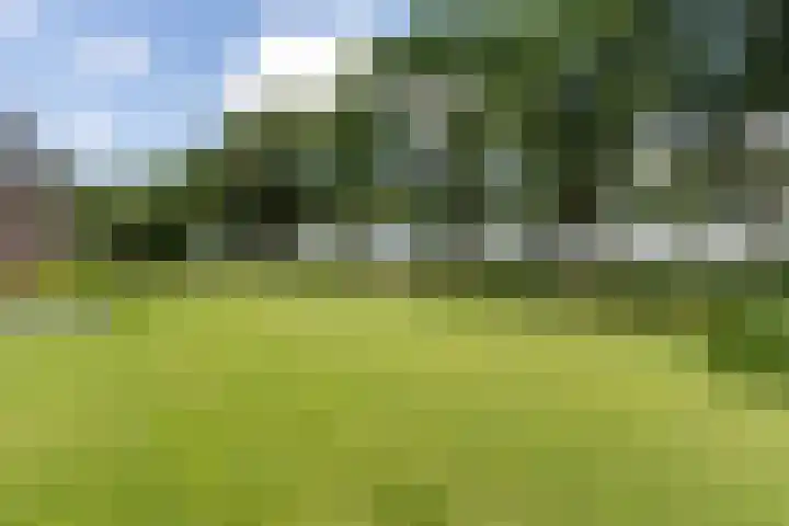 Oranjekanaal Z.Z. 7 A Zwiggelte thumbnail 40
