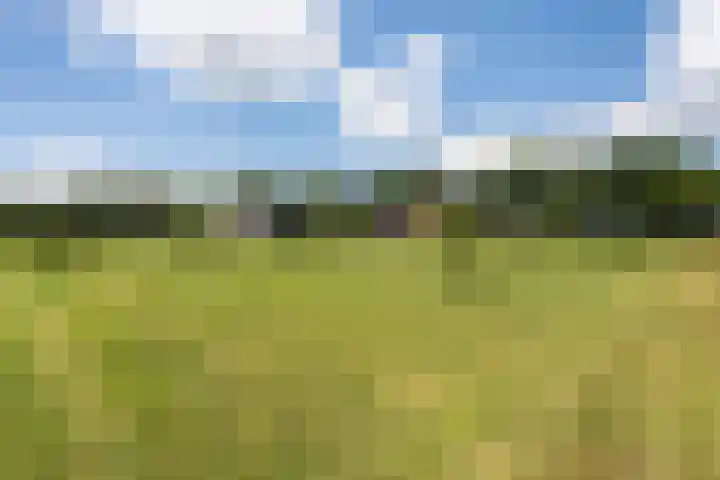 Oranjekanaal Z.Z. 7 A Zwiggelte thumbnail 41