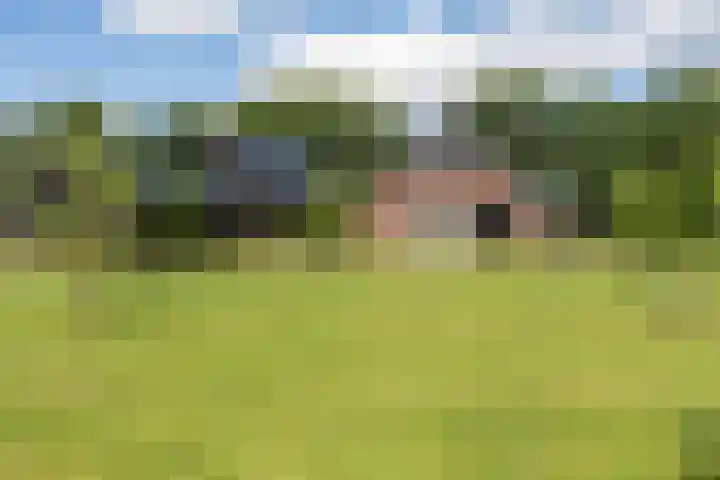 Oranjekanaal Z.Z. 7 A Zwiggelte thumbnail 42