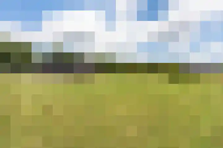 Oranjekanaal Z.Z. 7 A Zwiggelte thumbnail 43