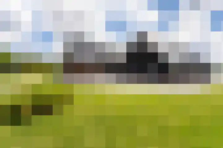 Oranjekanaal Z.Z. 7 A Zwiggelte thumbnail 45