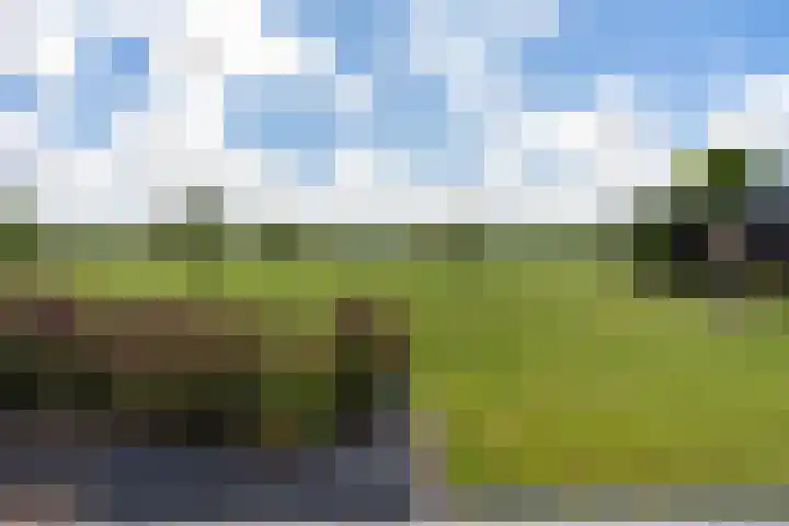 Oranjekanaal Z.Z. 7 A Zwiggelte thumbnail 48