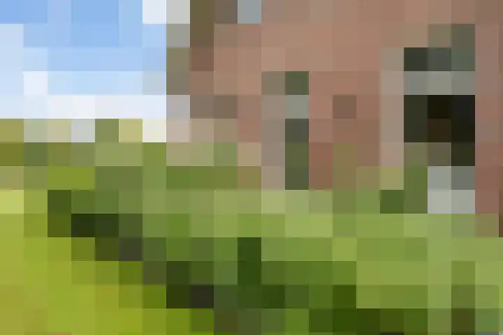 Oranjekanaal Z.Z. 7 A Zwiggelte thumbnail 59