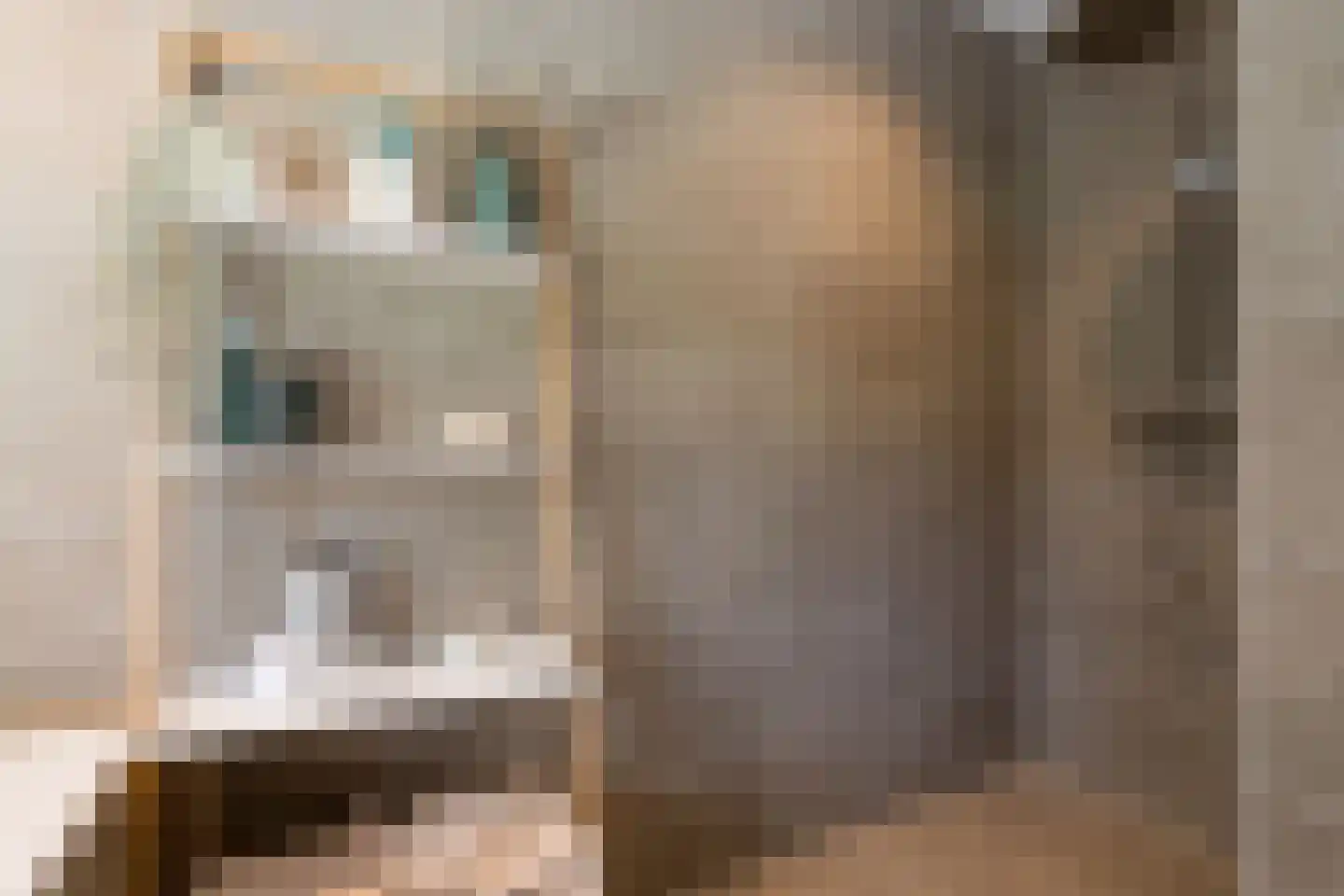 Oranjekanaal Z.Z. 8 Zwiggelte thumbnail 27