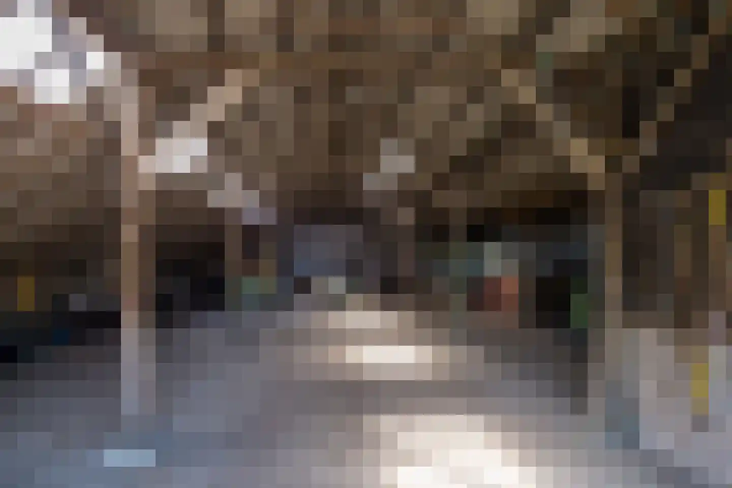 Oranjekanaal Z.Z. 8 Zwiggelte thumbnail 39